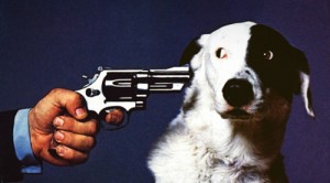 dog-gun